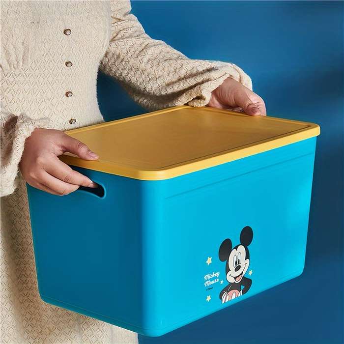Storage And Organizationcolor Winnie The Pooh