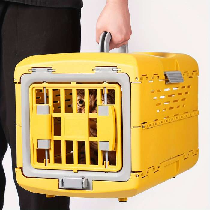 Pet Supplies Color Yellow Size S