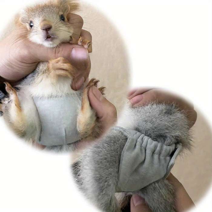 Pet supplies Quantity 5pcs