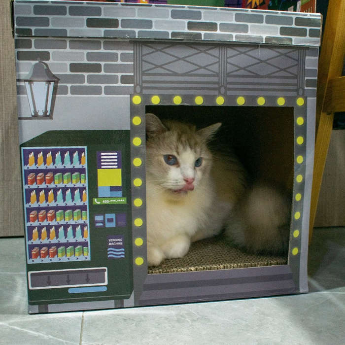 Pet Supplies Color Game Room Cat Scratcher