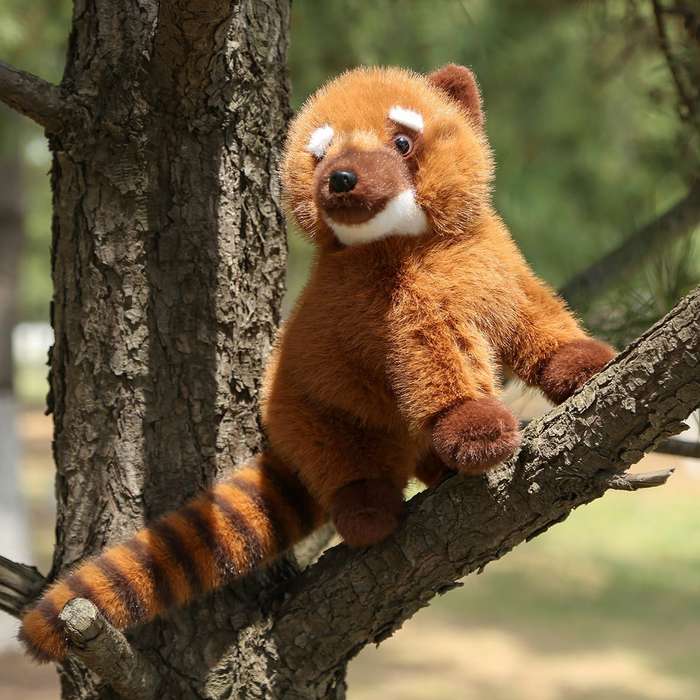 Toy Dolls color A Brown
