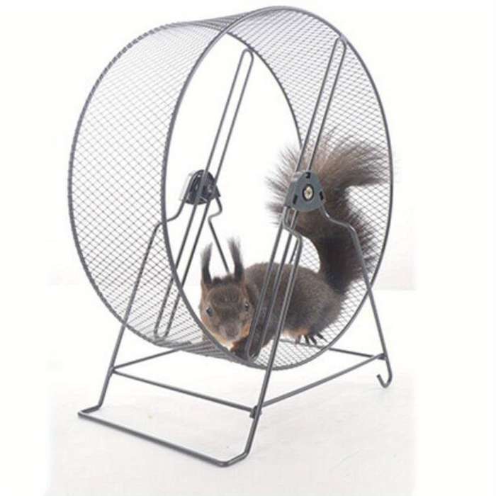 Pet Supplies Color Black