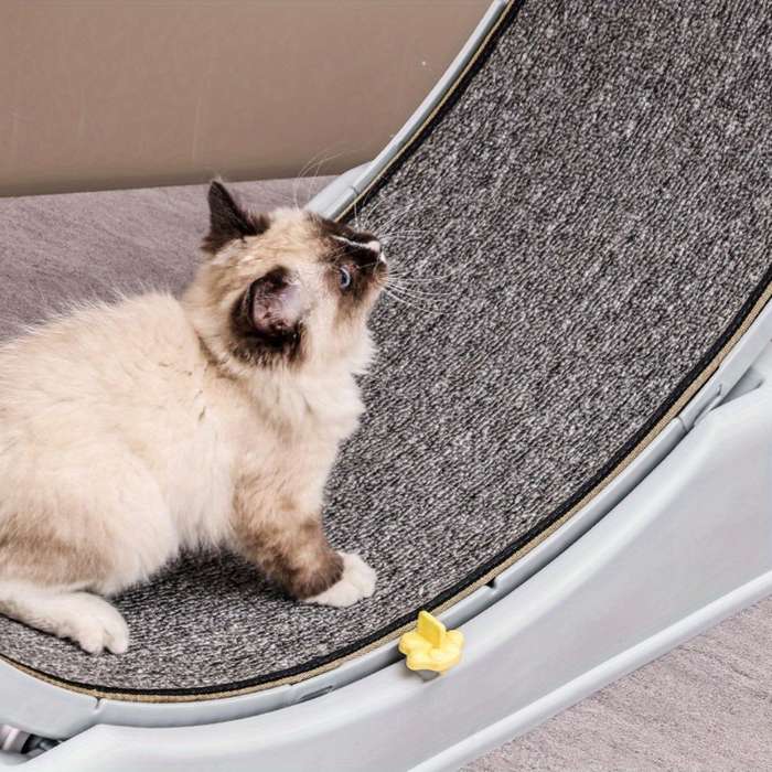 Pet supplies color Blue