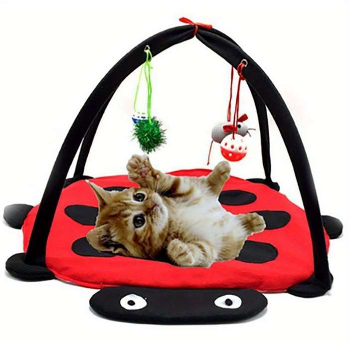 Pet supplies color  Red