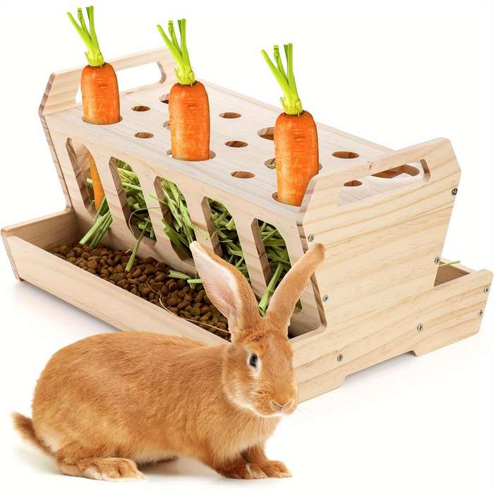 Pet Supplies Color Wood Color Quantity 1 Set