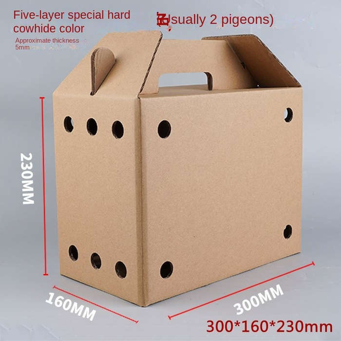 Pet Supplies Quantity 6Pcs