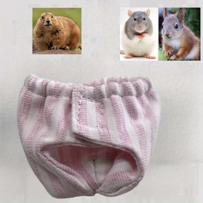 Pet supplies Quantity 5pcs