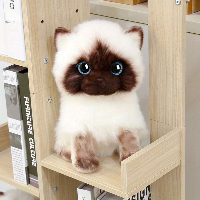 Toy Doll Color Cat Plush Size 26 Cm