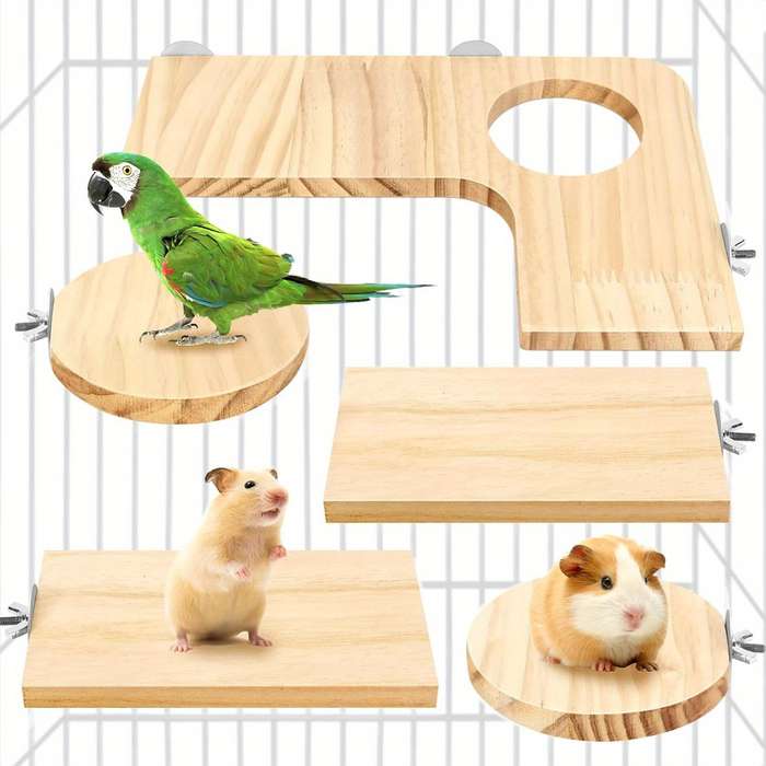 Pet Supplies Color 5 Piece Set