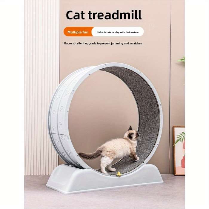 Pet supplies color Blue