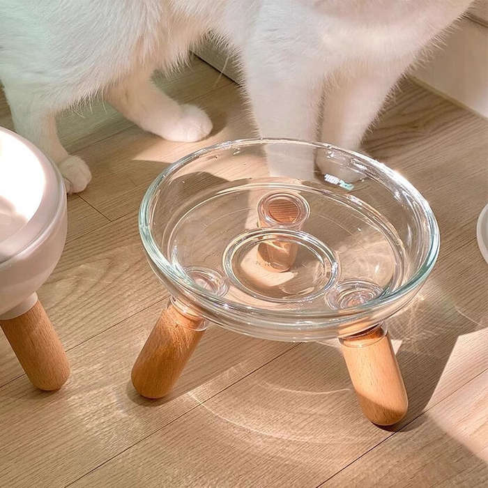 Pet Supplies Color Transparent Bowl  Add   Light Color Shelf  The Bowl Can Be Disassembled By Itself
