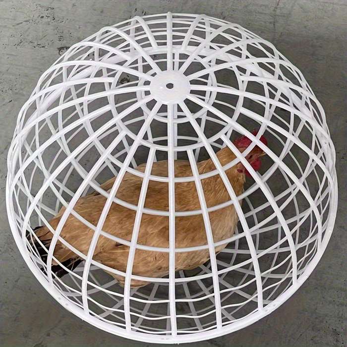 Pet Supplies Size 30Cm  11.81 Inches Quantity 6Pcs