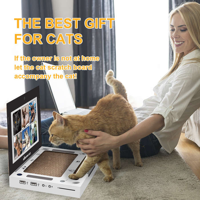Pet Supplies Color Light Grey Size 35 X 30 X 5