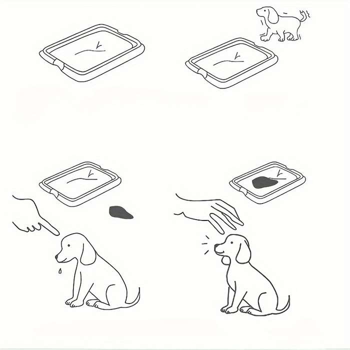 Pet supplies Quantity 100pcs    set