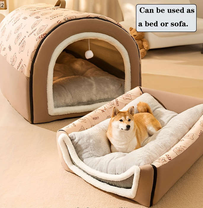 Pet supplies color Kitten