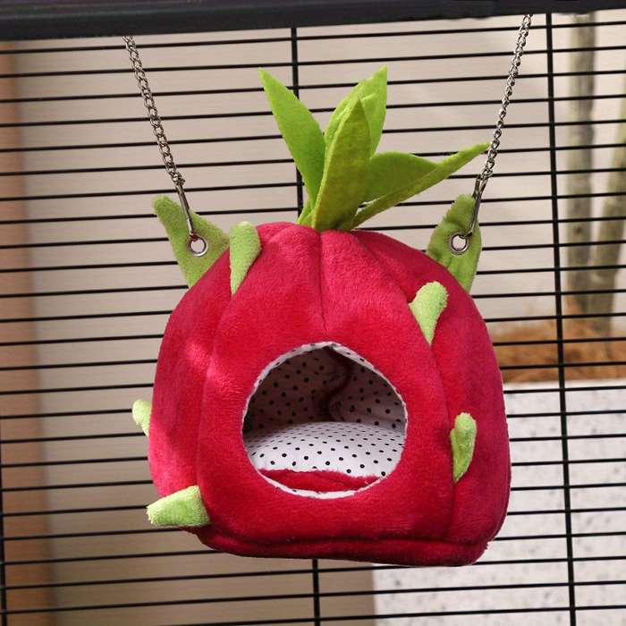 Pet Supplies Color Pineapple Size Size S Dwarf Rat