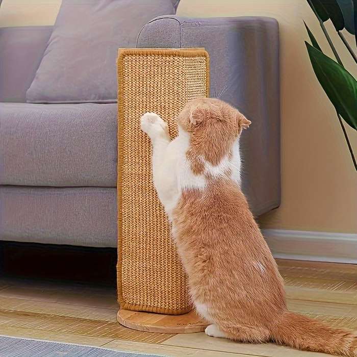 Pet supplies Quantity 1pc