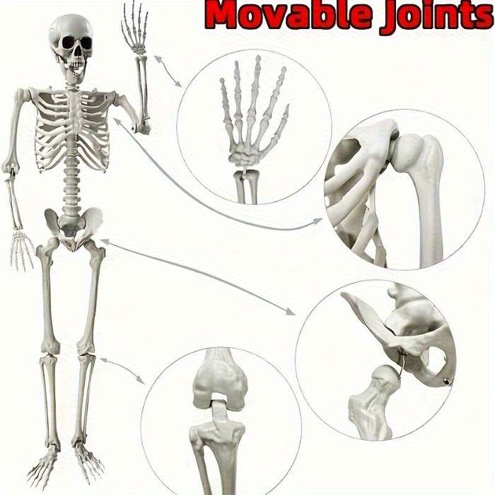 Halloween Decorations Size Skull Frame  Add   40G Net Gauze  Add   4 Spiders