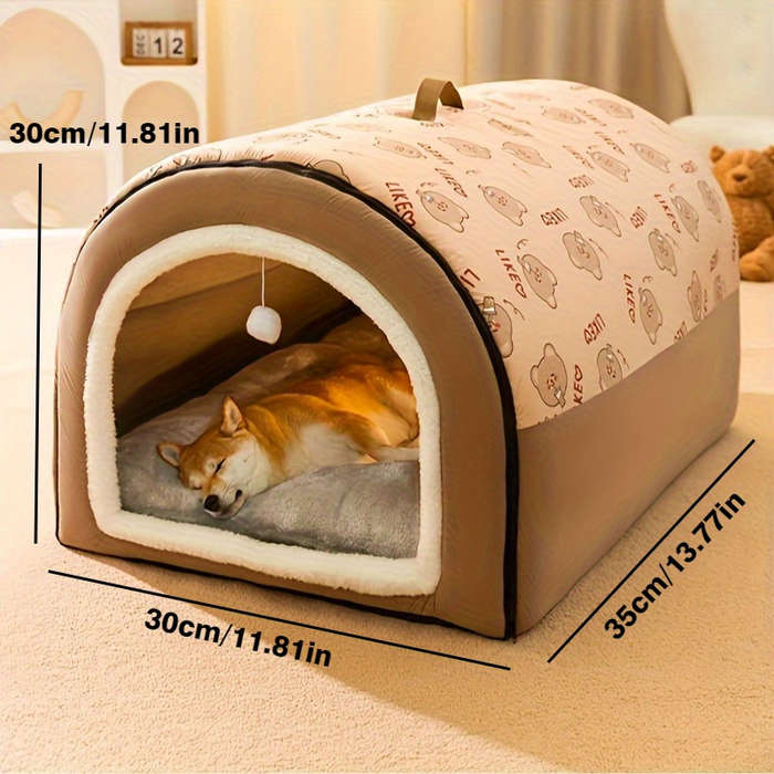 Pet supplies color Kitten