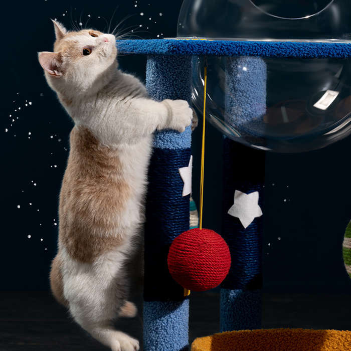 Pet supplies color L size Moon