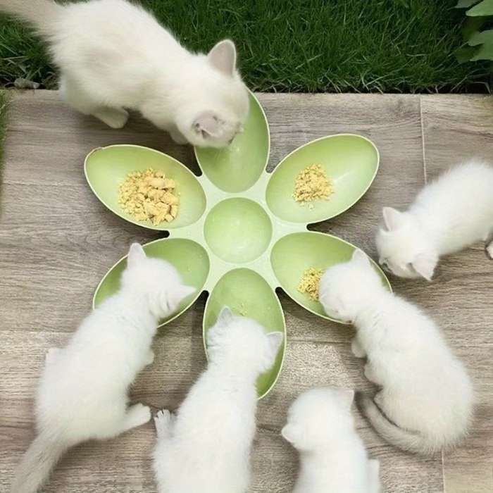 Pet Supplies Color Bleu Size 42.01 Cm X 42.01 Cm