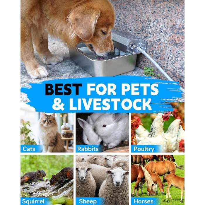 Pet Supplies Size Small