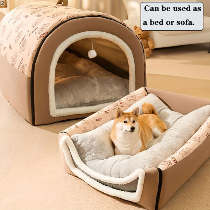Pet supplies color Kitten