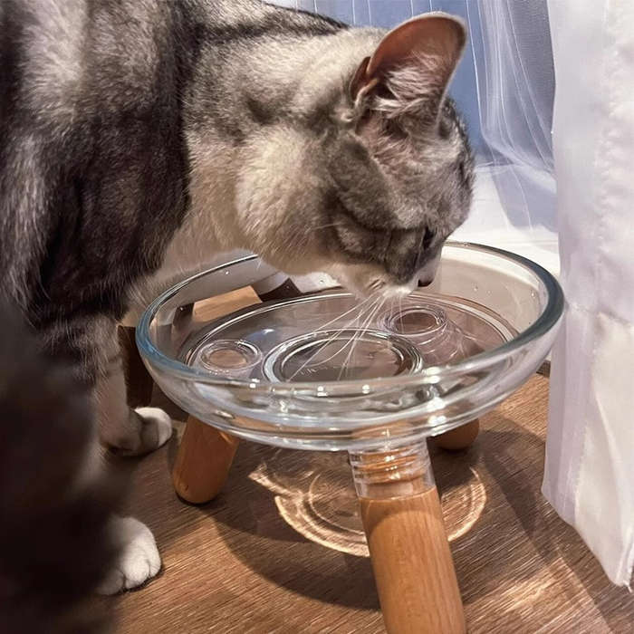 Pet Supplies Color Transparent Bowl  Add   Light Color Shelf  The Bowl Can Be Disassembled By Itself