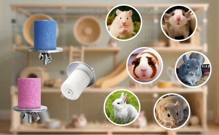 Pet Supplies Quantity 3Pcs