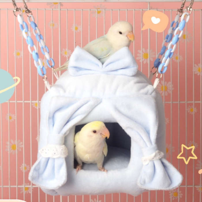 Pet Supplies Color Blue