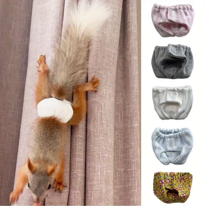 Pet supplies Quantity 5pcs