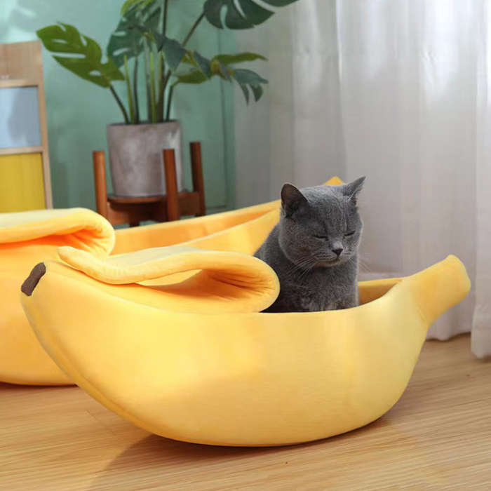 Pet supplies color Yellow size S