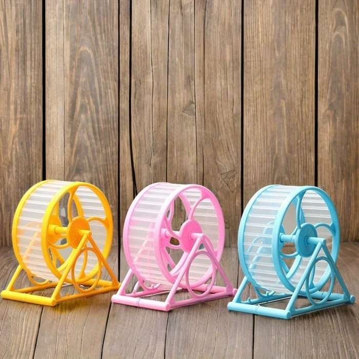 Pet supplies color 1pc Blue