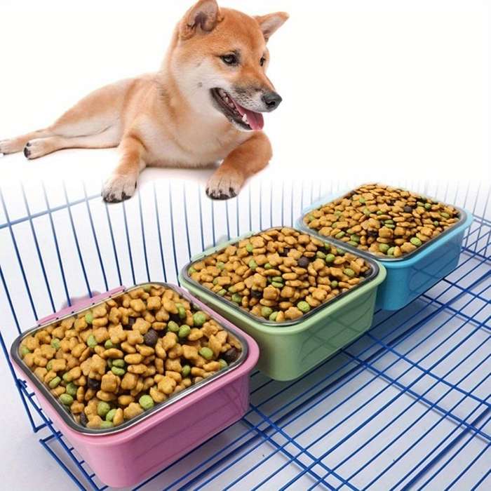 Pet Supplies Quantity 3Pcs