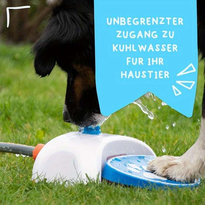 Pet Supplies Color Blue And White Model Upgraded With Two Spouts