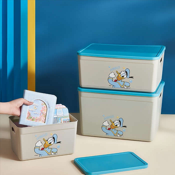 Storage And Organizationcolor Winnie The Pooh