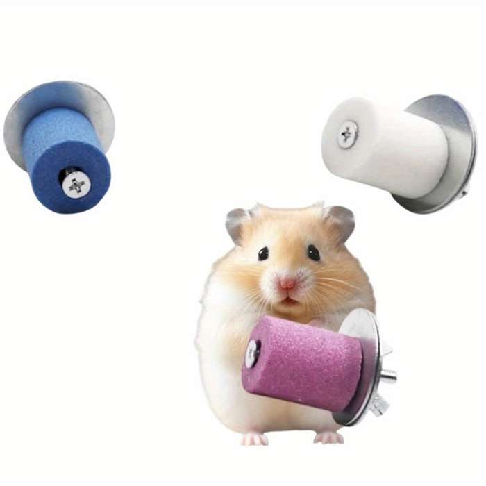 Pet Supplies Quantity 3Pcs