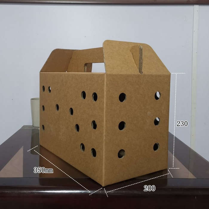 Pet Supplies Quantity 6Pcs