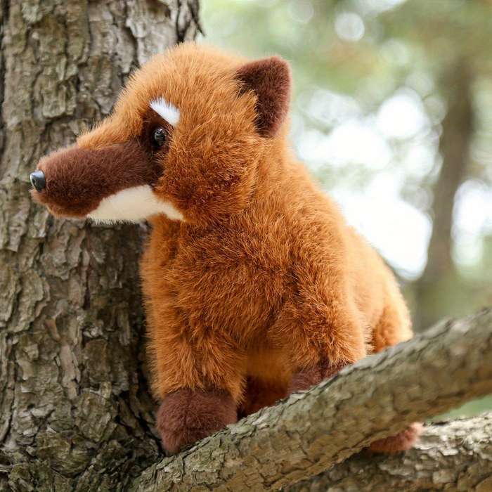 Toy Dolls color A Brown