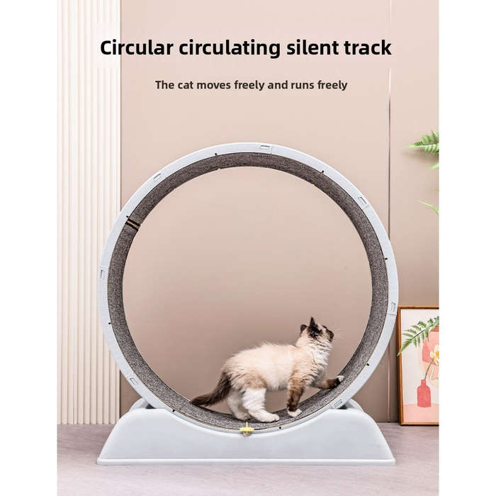 Pet supplies color Blue