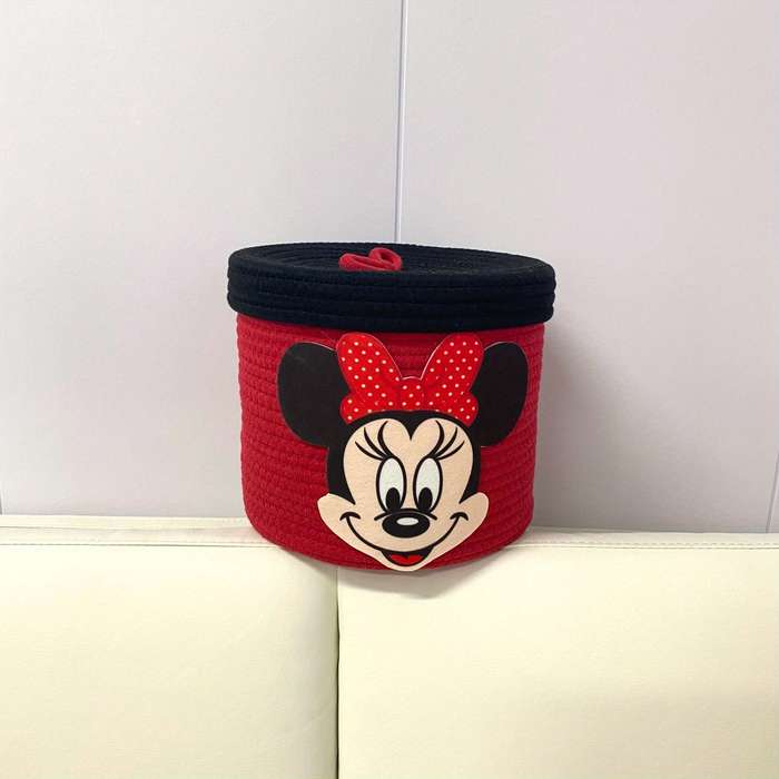 Storage And Organizationcolor Mickey