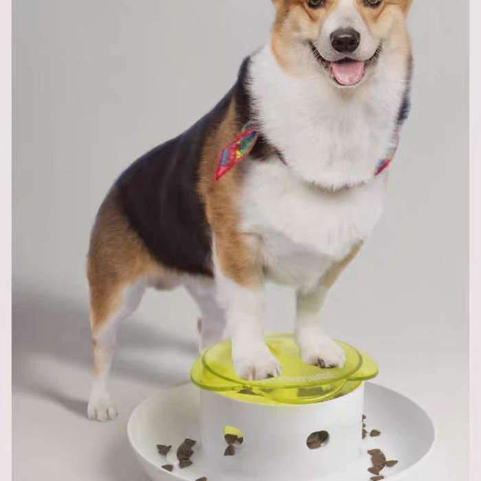 Pet Supplies Color White