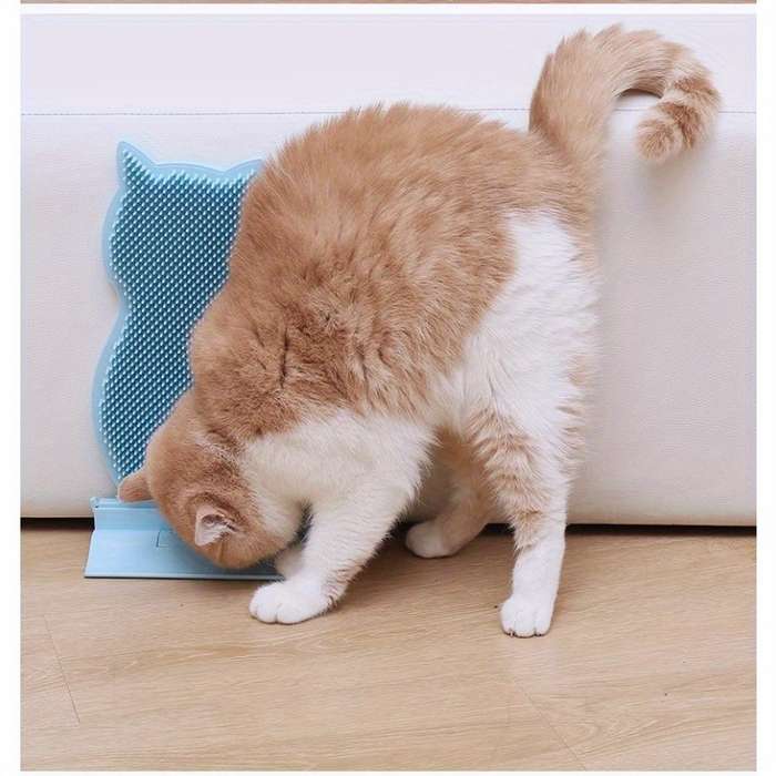 Pet Supplies Color Blue