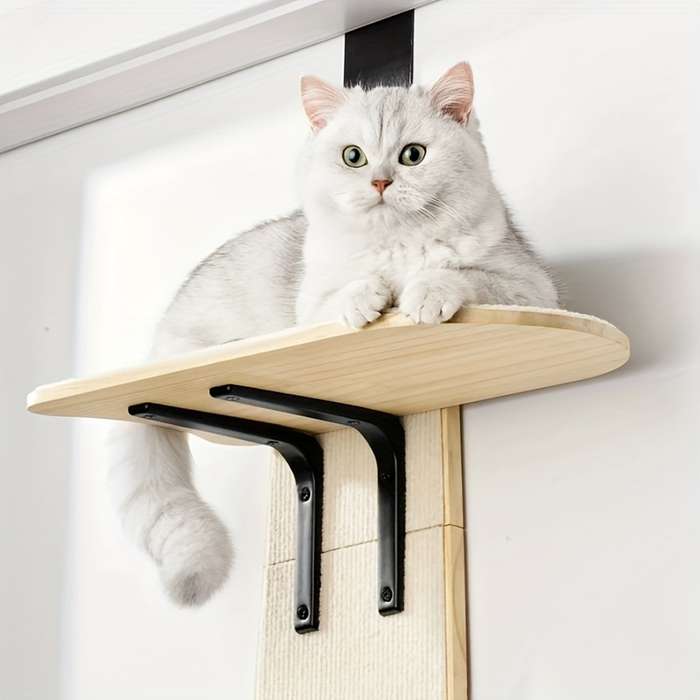 Pet supplies Model 1pc