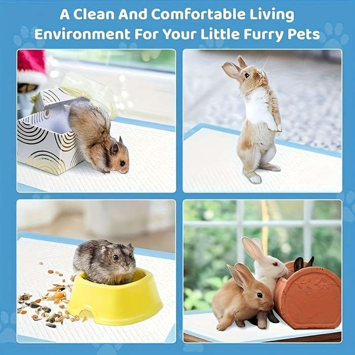 Pet supplies Quantity 100pcs    set