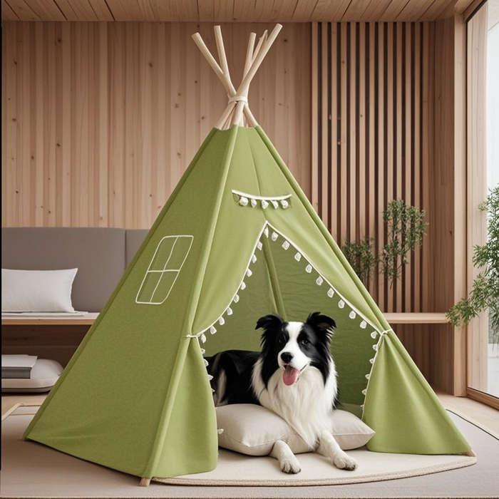 Pet supplies color Green 1