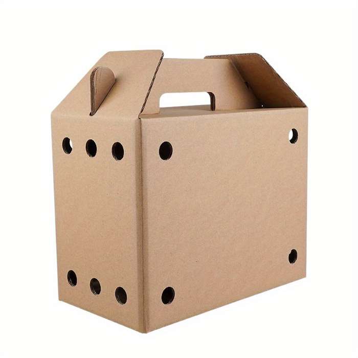 Pet Supplies Quantity 6Pcs