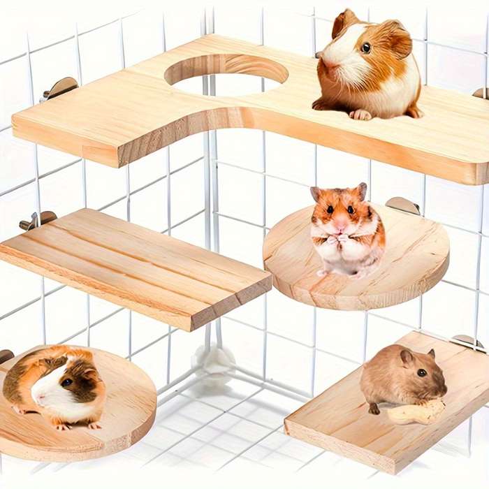 Pet Supplies Color 5 Piece Set