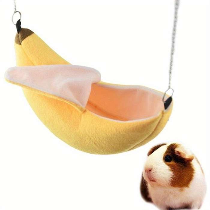 Pet Supplies Color   Red