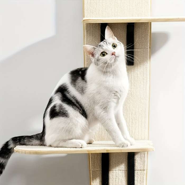 Pet supplies Model 1pc